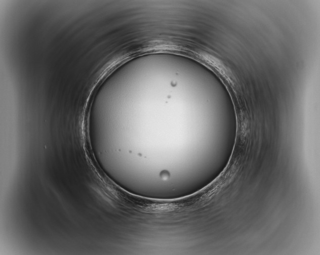 X0000096981282200802081400