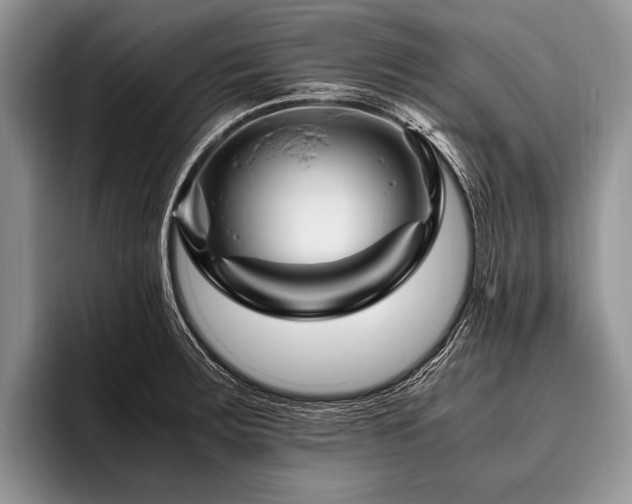 X0000096981283200802081400