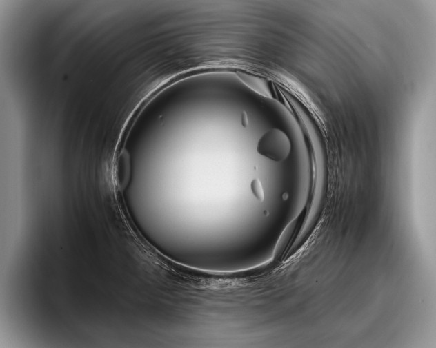 X0000096981284200802081400