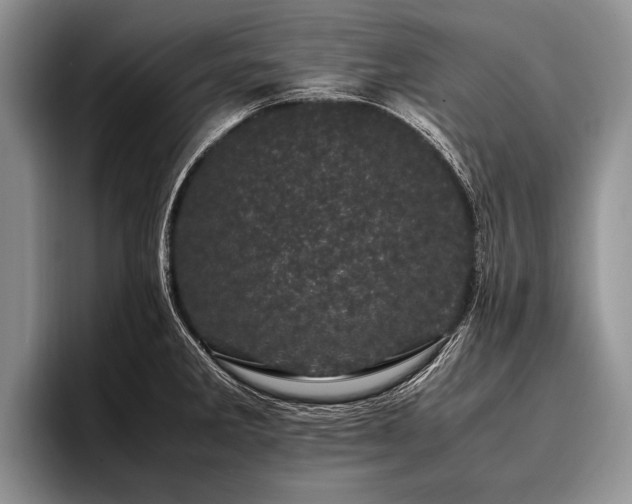 X0000096981285200802081400