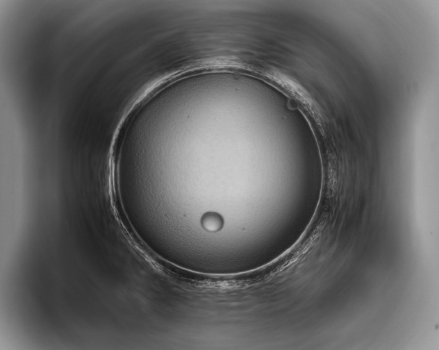 X0000096981286200802081400