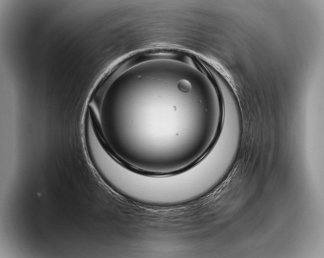 X0000096981287200802081400