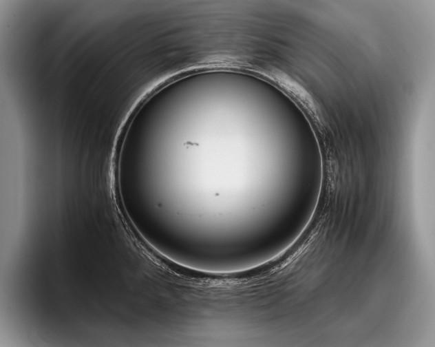 X0000096981288200802081400