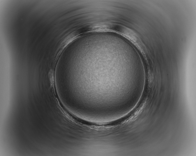 X0000096981289200802081400