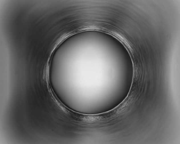 X0000096981290200802081400