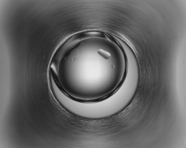 X0000096981291200802081400