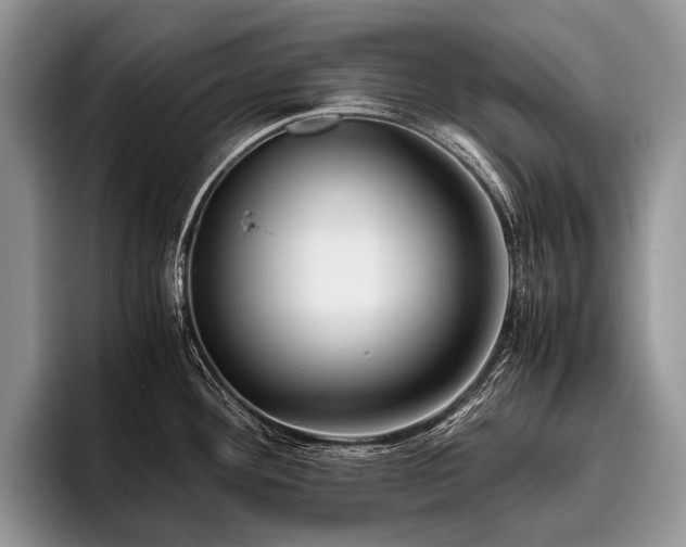 X0000096981292200802081400