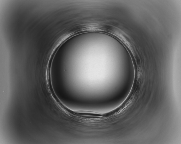 X0000096981293200802081400