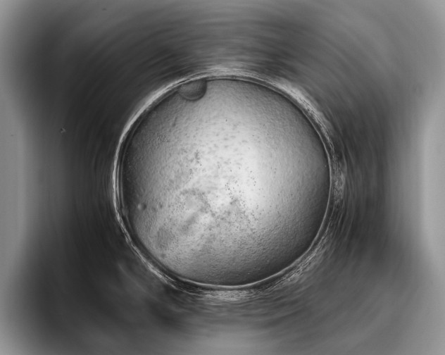 X0000096981294200802081400