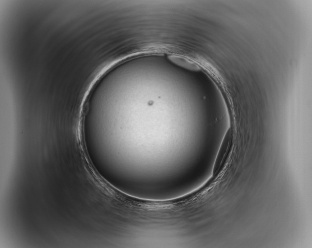 X0000096981296200802081400