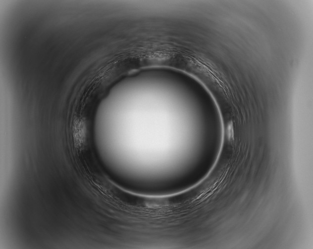 X0000096981299200802081359