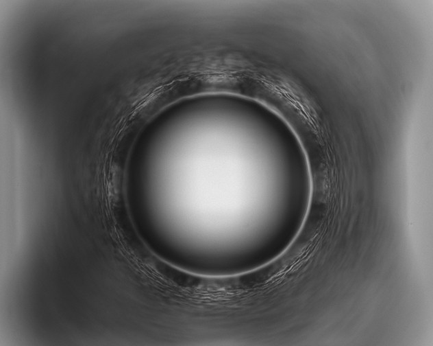 X0000096981301200802081359