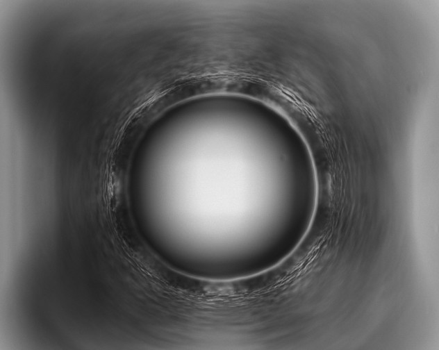 X0000096981302200802081359