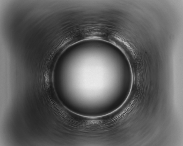 X0000096981305200802081359