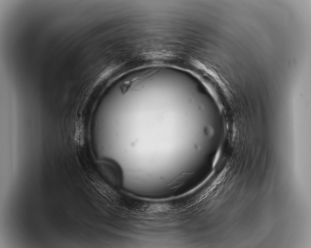 X0000096981306200802081359