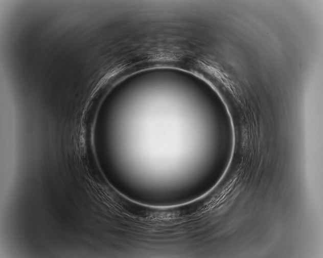 X0000096981307200802081359