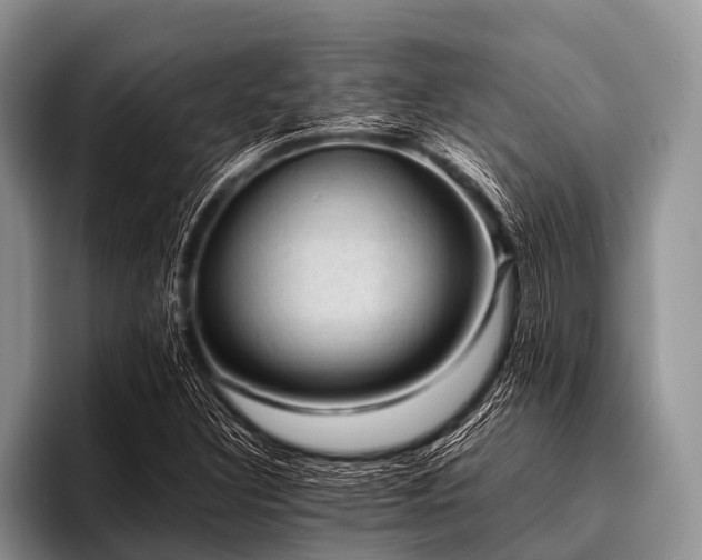 X0000096981308200802081359