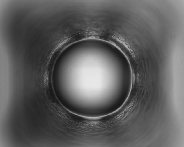 X0000096981309200802081359