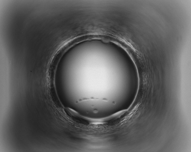 X0000096981311200802081359