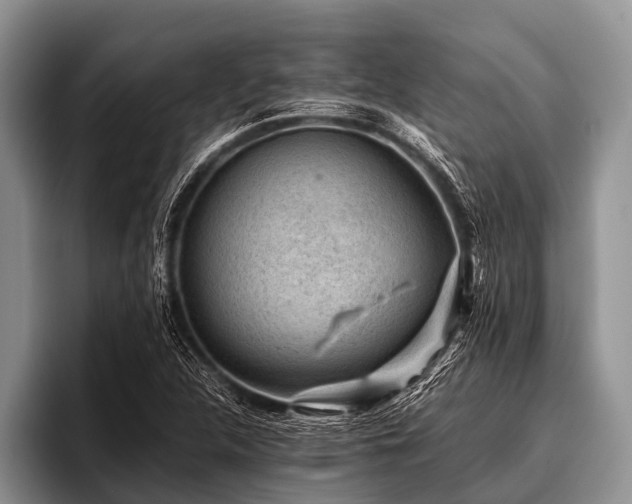 X0000096981312200802081359