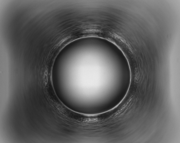 X0000096981313200802081359