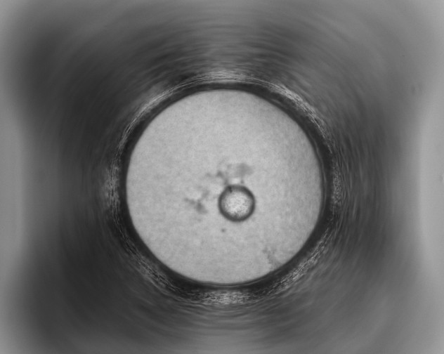 X0000096981314200802081359