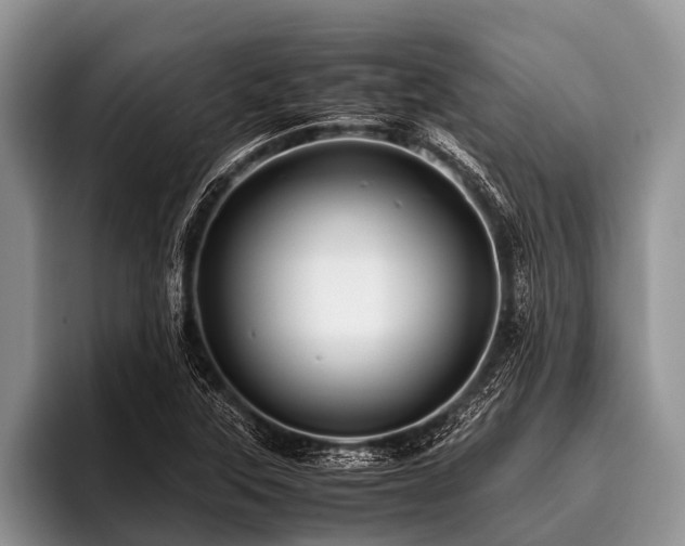 X0000096981315200802081359