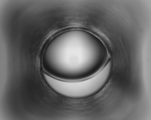 X0000096981318200802081359