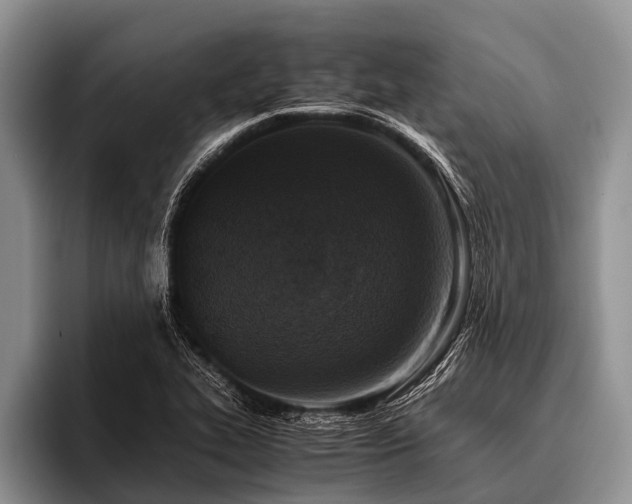 X0000096981319200802081359