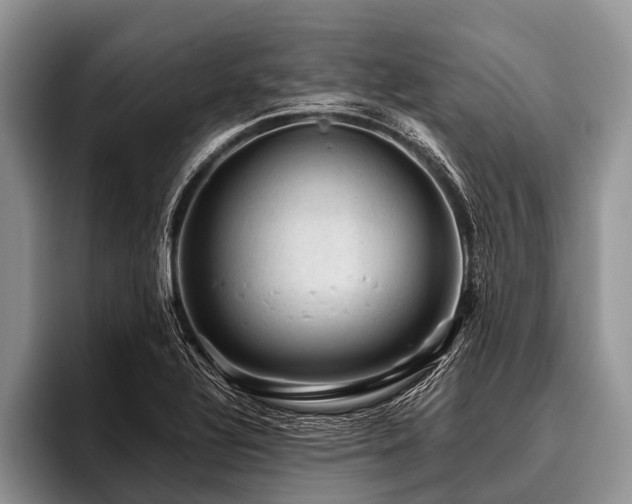 X0000096981320200802081359