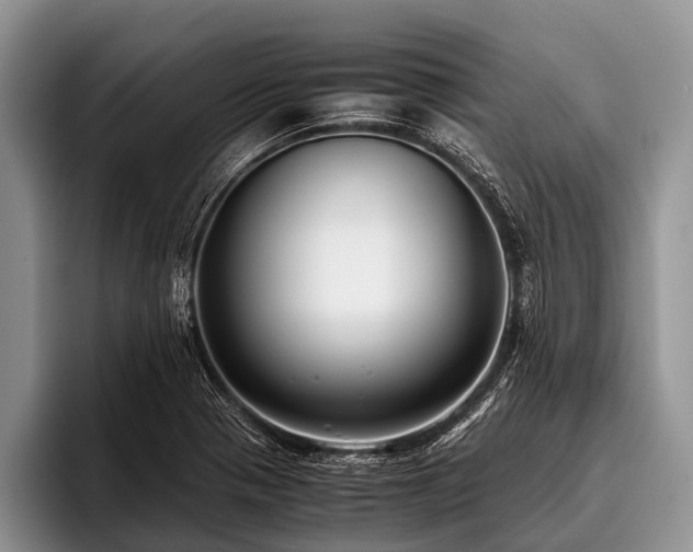 X0000096981321200802081359