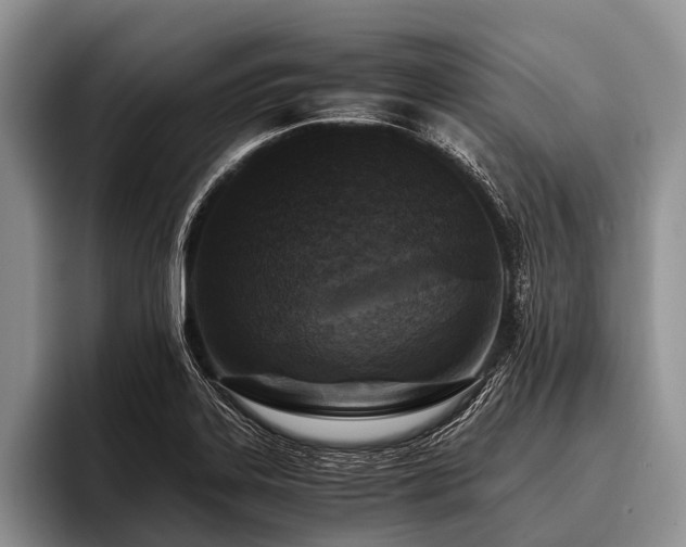 X0000096981323200802081359