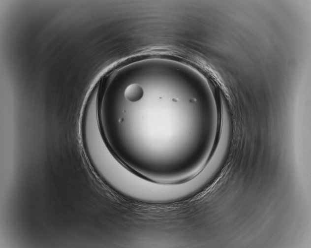 X0000096981328200802081400