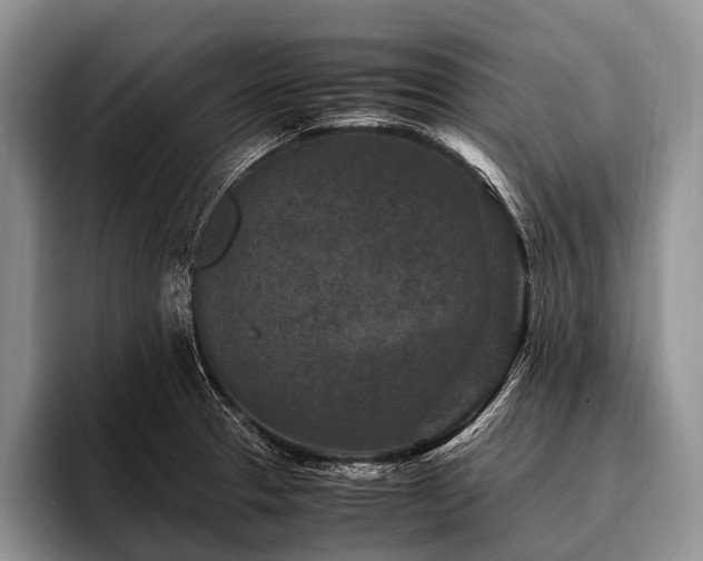 X0000096981329200802081400