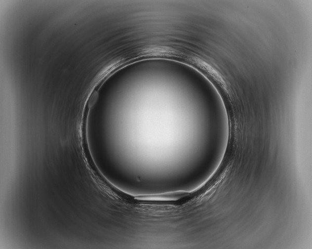 X0000096981330200802081400