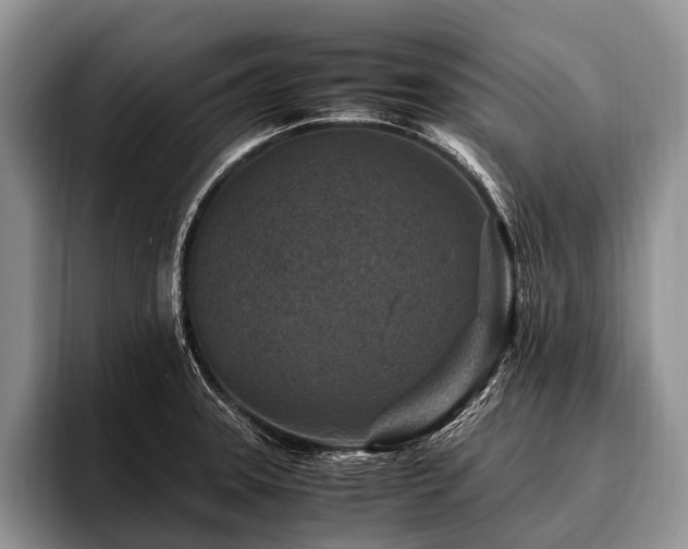 X0000096981331200802081400