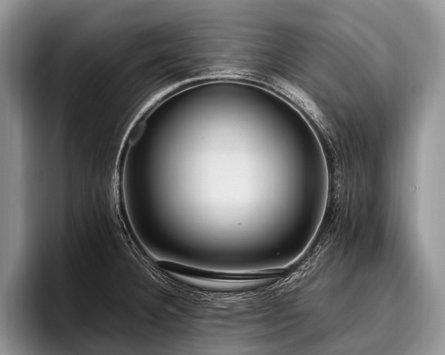 X0000096981332200802081400