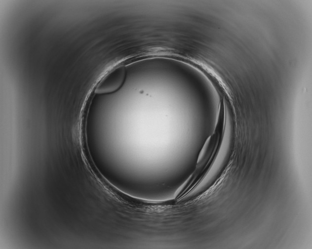 X0000096981333200802081400