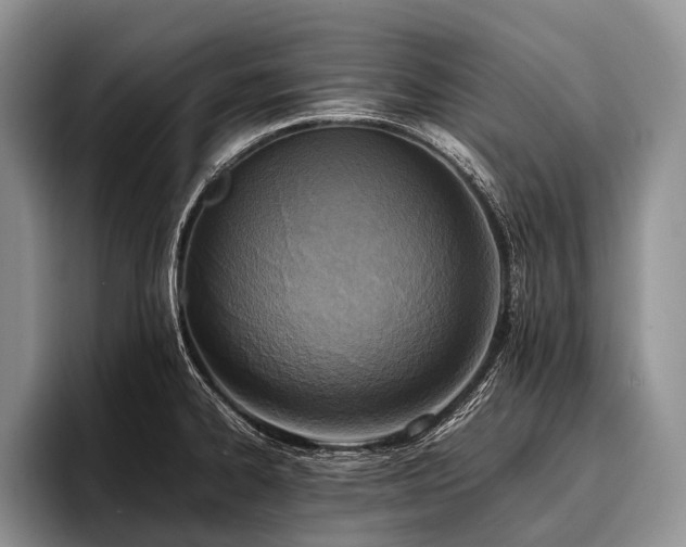 X0000096981334200802081400