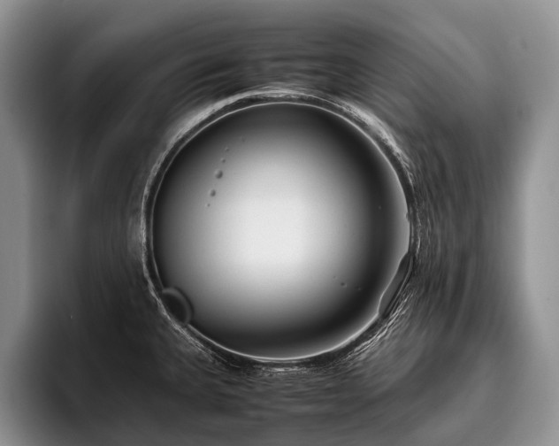 X0000096981335200802081400