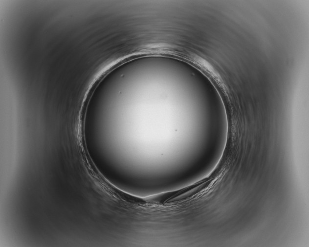 X0000096981336200802081400