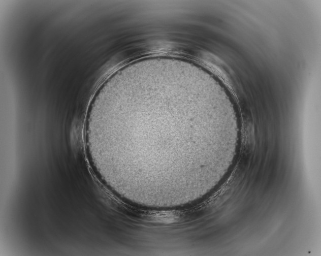 X0000096981338200802081400