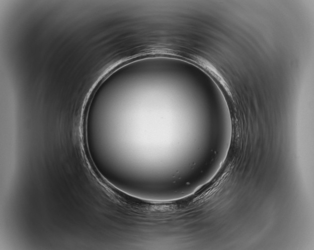 X0000096981339200802081400