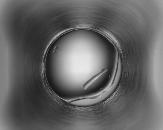 X0000096981340200802081400