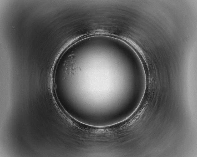 X0000096981341200802081400