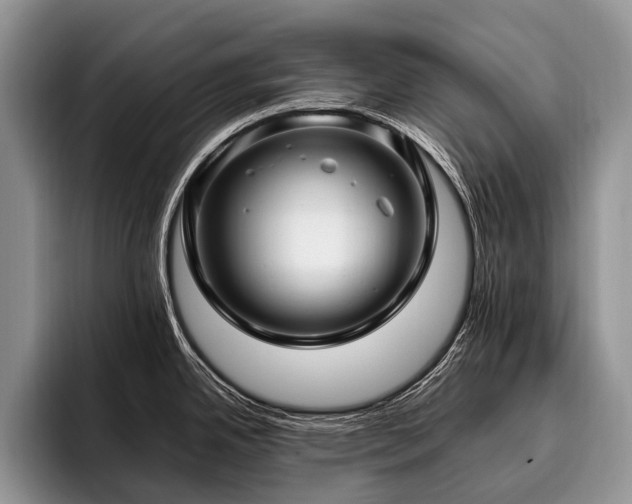 X0000096981342200802081400