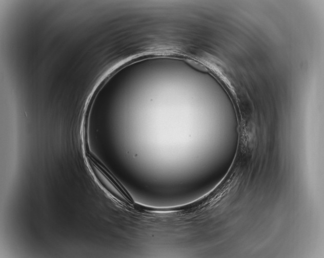 X0000096981343200802081400