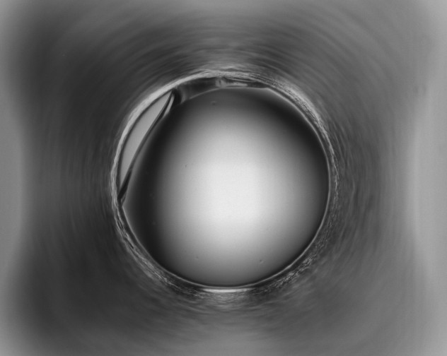 X0000096981344200802081400