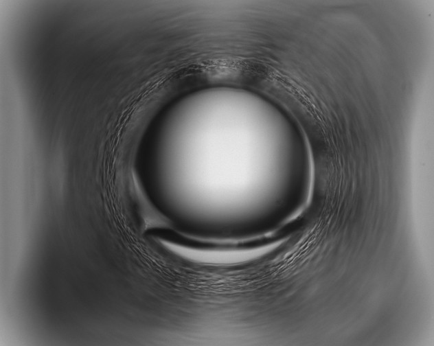 X0000096981345200802081359