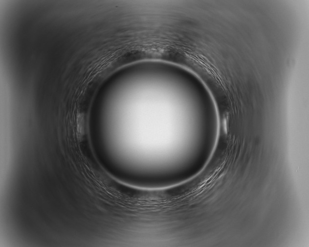 X0000096981347200802081359